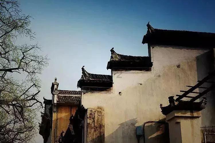 春雨直播app